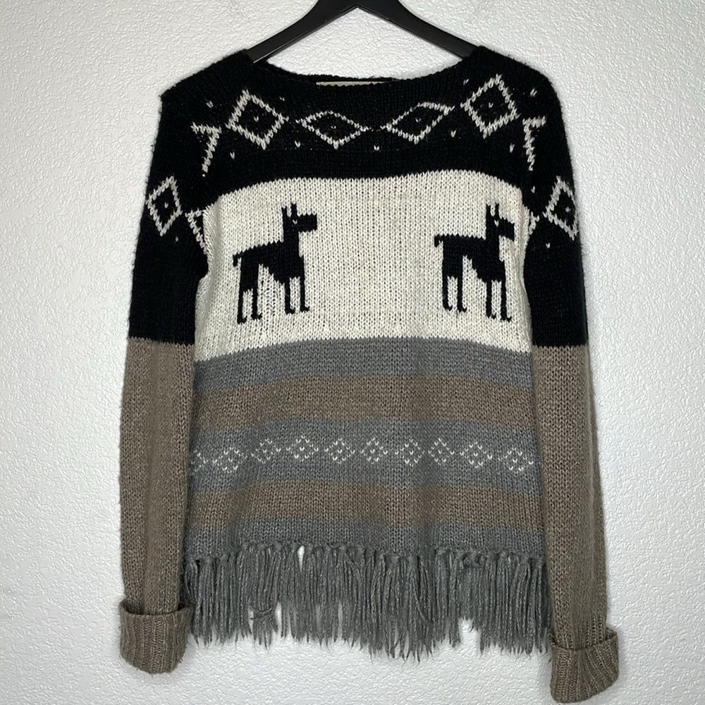 Zara Knit Will Blend Fringe Sweater Size M